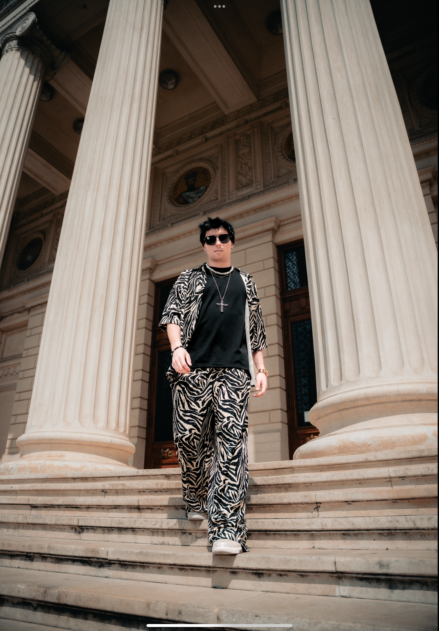 Zebra crystal shirt