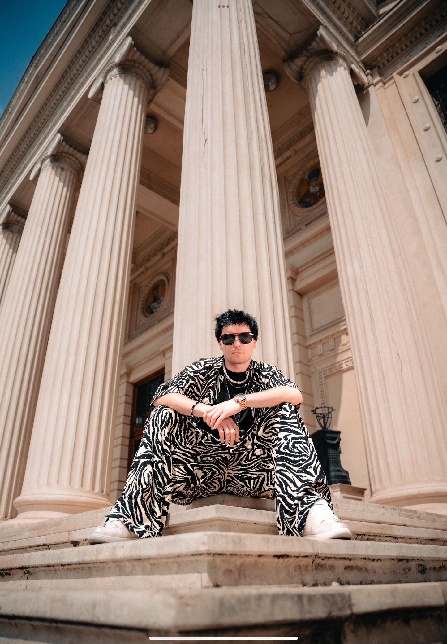 Zebra crystal shirt