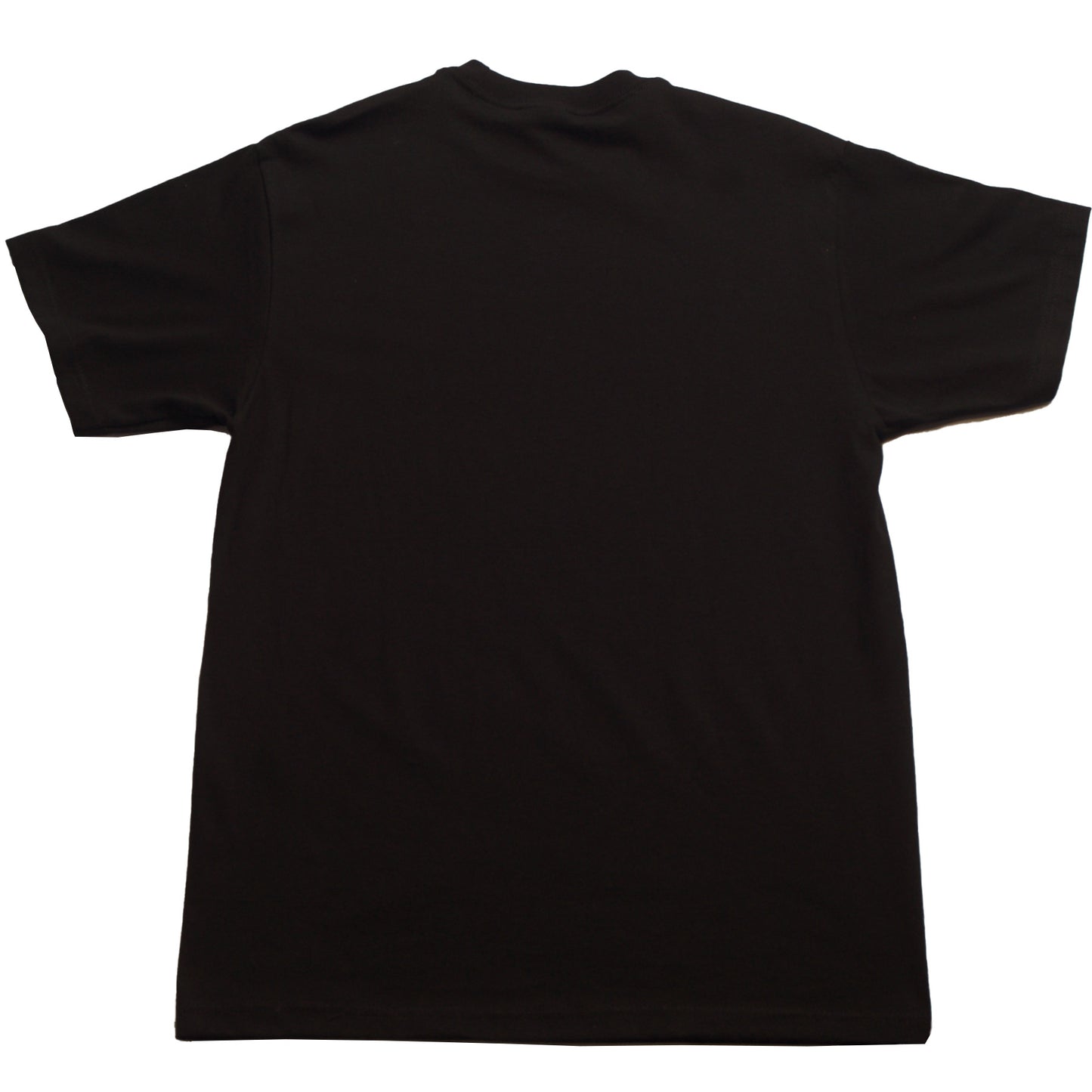 The Persian Version - Writer Director Maryam Keshavarz - T-Shirt - Black - Back - Neds Melrose