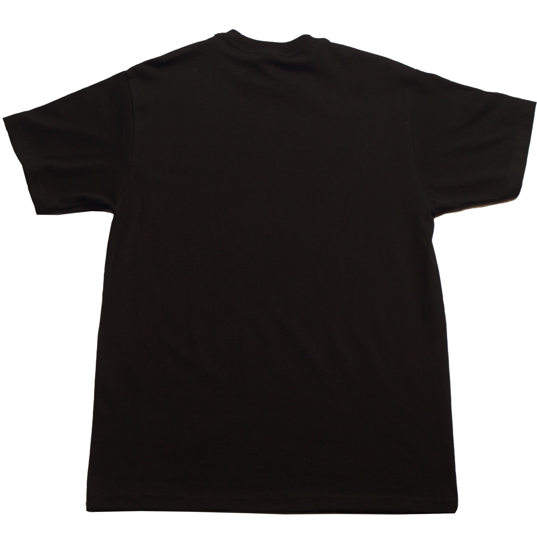 The Persian Version - Writer Director Maryam Keshavarz - T-Shirt - Black - Back - Neds Melrose